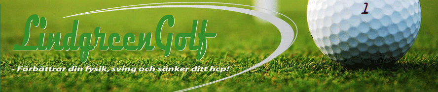 LindgreenGolf.com - I help golfers cure the slice and stop slicing the ball.