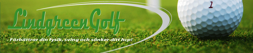 4 LindgreenGolf.com - I help golfers cure the slice and stop slicing the ball.